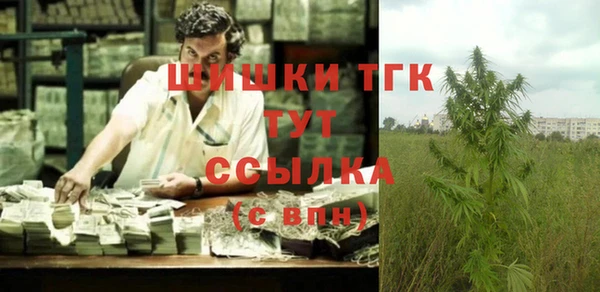 ешки Вяземский