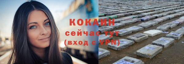 ешки Вяземский