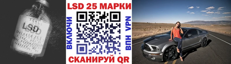 Купить закладки  Кировград  Лсд 25 экстази ecstasy 