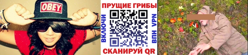 Галлюциногенные грибы GOLDEN TEACHER  Купить закладки  Кировград 